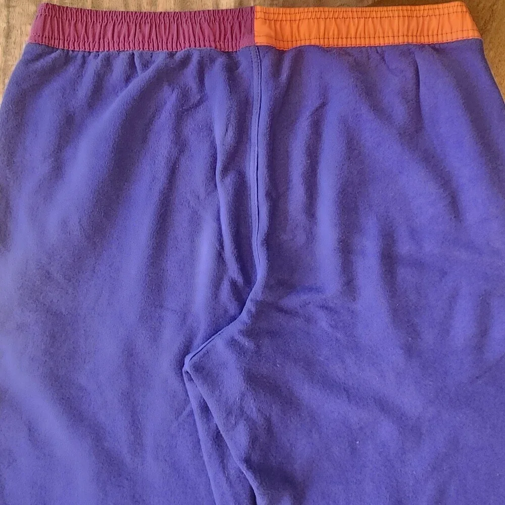 The North Face Rage Pants Mens Medium Blue Fleece Joggers Hiking Colorblock